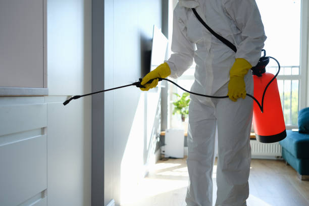 Best Health and Safety Mold Remediation in Tucumcari, NM
